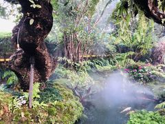 -Chom Cafe and Restaurant