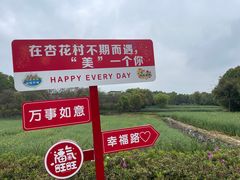 -杏花村文化旅游区