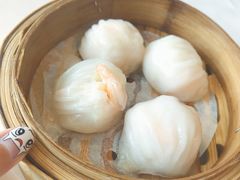 -粤式早茶希朋喜宴