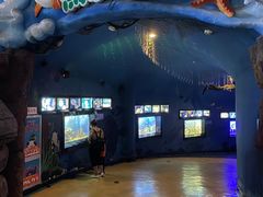 -烟台海昌鲸鲨海洋公园