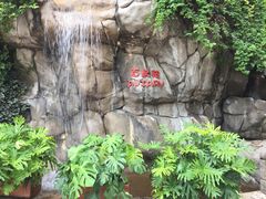 -九龙公园