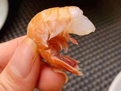 -菊上料理(蜀山银泰百货店)