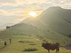 -大姆山草场