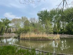 -北京动物园-畅观楼