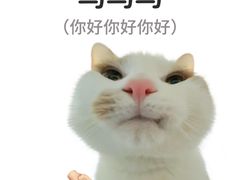 -尽峰攀岩 Acme Climbing