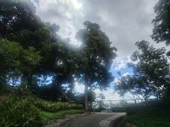 -二龙喉公园