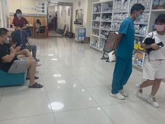 -美联众合动物医院·24h京西诊疗中心