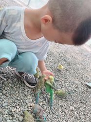 -萌宠亲子动物乐园(槐房万达店)