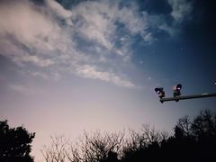 -鬼笑石后山停车场