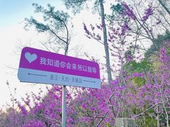 -天台山赤城山景区