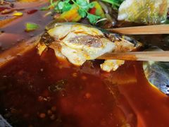 -鸿顺老铁锅美蛙鱼府(解放碑店)