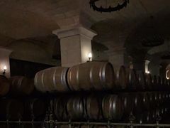 -北京张裕爱斐堡酒庄