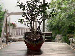 -苏州文旅姑苏小院·端善堂