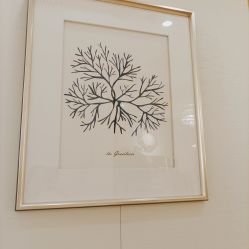 -茜尔维亚修身连锁(杨浦五角场店)