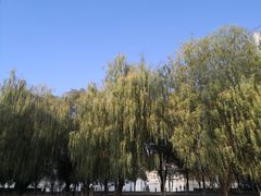 -南昌青山湖风景区