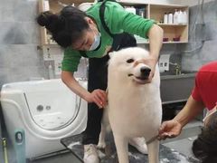 -酷豆宠物咖啡·宠物美食·撸猫馆