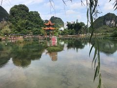 -靖西鹅泉风景区