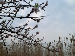 -阳澄湖半岛旅游度假区