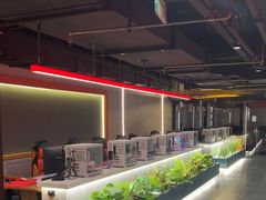 -金山网咖(汇嘉时代店)