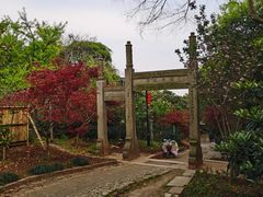 -雨花胜境