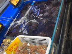 -万宝海鲜舫(劳动公园店)