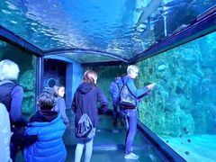 -悉尼海洋生物水族馆