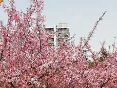 -白塘生态植物园
