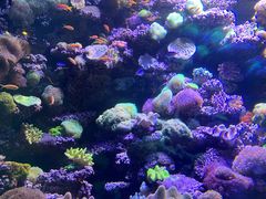 -太平洋海底世界