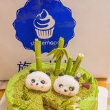 🎂 深圳味蕾的甜蜜邂逅！这可爱到让人心动的熊猫宝宝蛋糕🐼