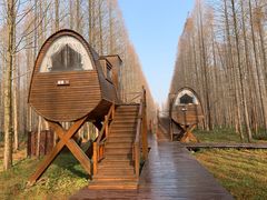 -黄海国家森林公园