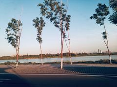 景点-哈尔滨大剧院