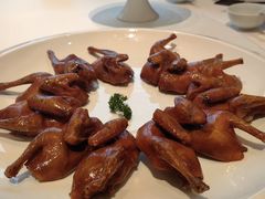 妙龄脆皮乳鸽-天然台1908(中建广场店)