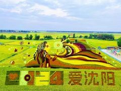 景点-稻梦空间
