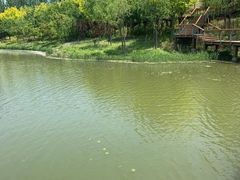 -东郊湿地公园