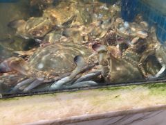 -妈妈菜舟山海鲜(定海古城店)