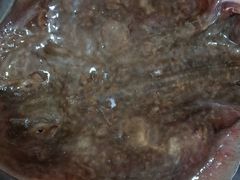 -宾朋海鲜特色美食餐厅·纯手工鲅鱼水饺(兴海路店)