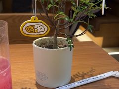 -CURRY YA 熟成咖哩專門店(深圳湾万象城店)