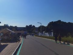 -光明小镇欢乐田园