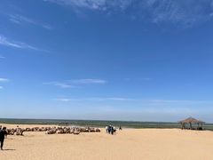 -黄沙古渡原生态旅游区