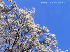 -杭州植物园
