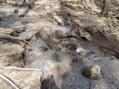 -芦芽山旅游度假区