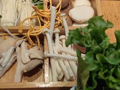 -草原塞蛮羊火锅城(港湾店)