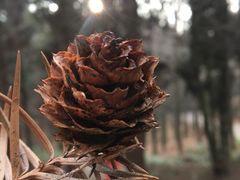 -山王坪喀斯特国家生态公园