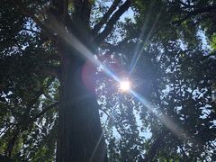 -南华寺素食馆(南华禅寺店)