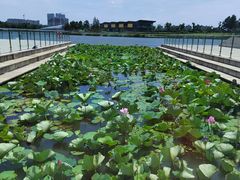 -上海中国航海博物馆