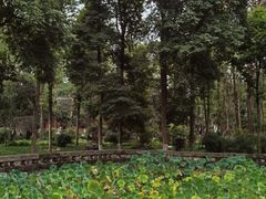 -宝光寺