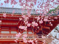 -醍醐寺