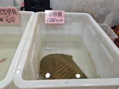 -德清诚信农产品莫干湖甲鱼直销店