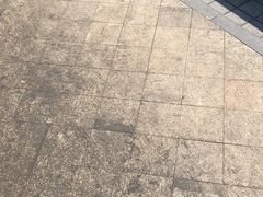 -陈记汤饭(水巷口店)