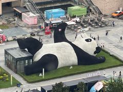 -都江堰中心国际酒店